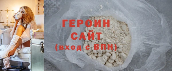 индика Новодвинск