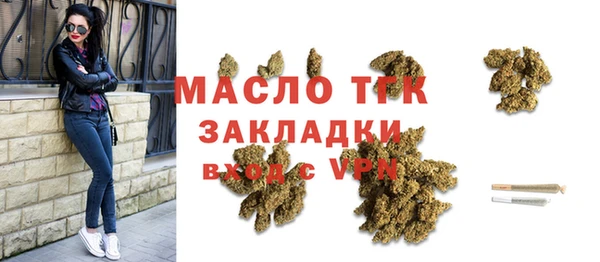 индика Новодвинск