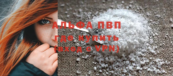 индика Новодвинск