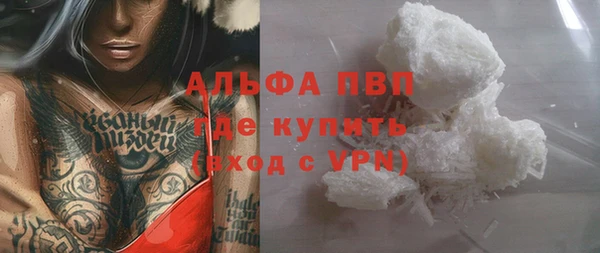 индика Новодвинск