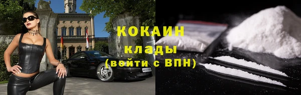 таблы Новозыбков