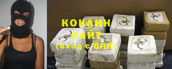 таблы Новозыбков