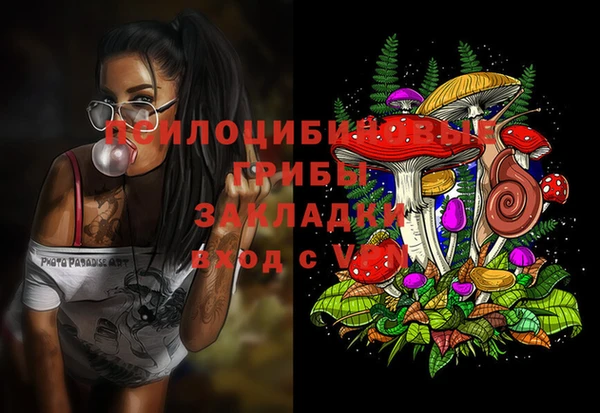 таблы Новозыбков