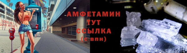 индика Новодвинск