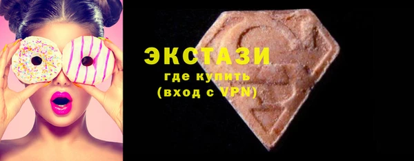 индика Новодвинск