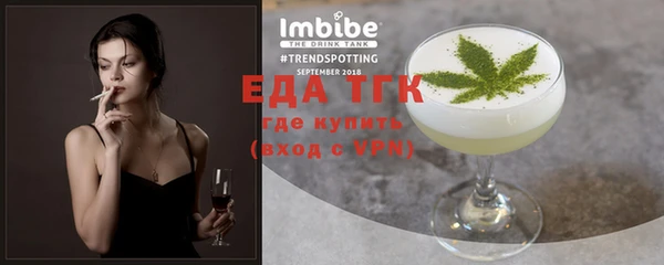 индика Новодвинск