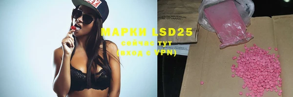 индика Новодвинск