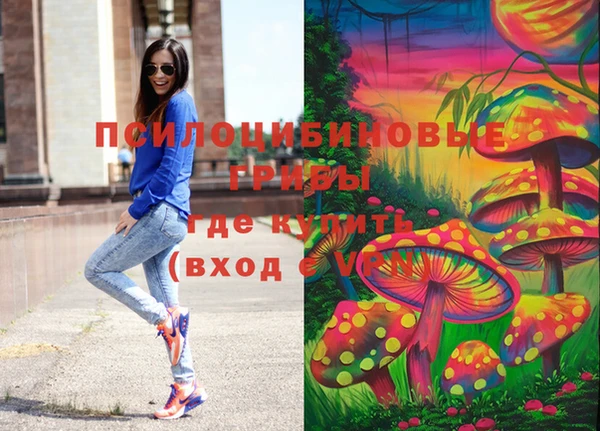 таблы Новозыбков