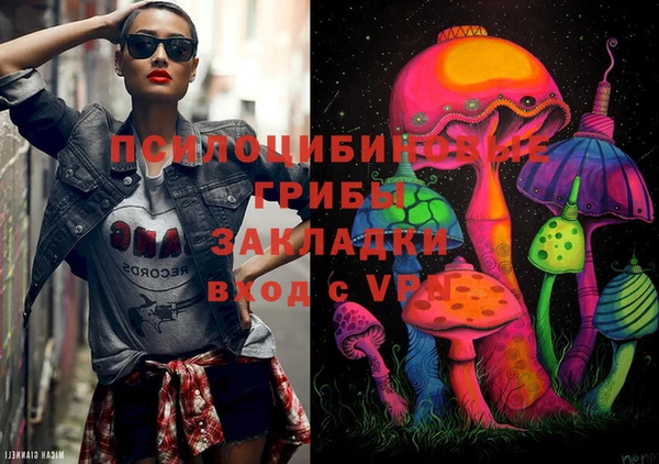 таблы Новозыбков