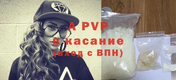 индика Новодвинск