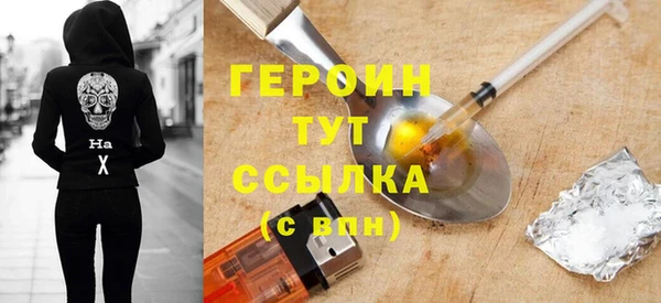 индика Новодвинск
