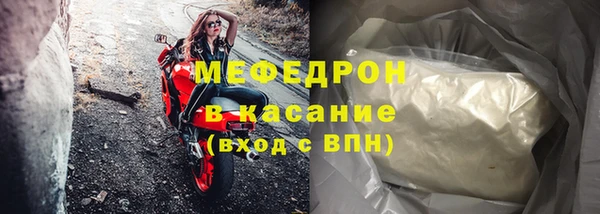индика Новодвинск