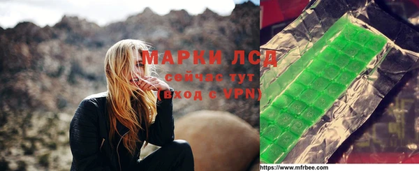 индика Новодвинск