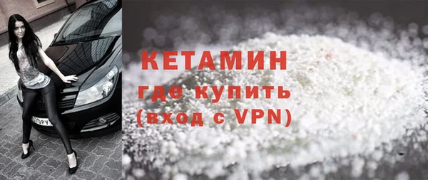 индика Новодвинск