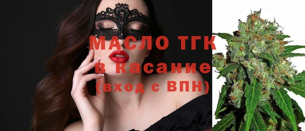 индика Новодвинск